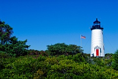 Green Brush Surrounds Cape Poge Light on Marthas Vineyard